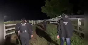 Organização Criminosa