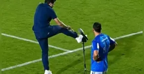 Punição