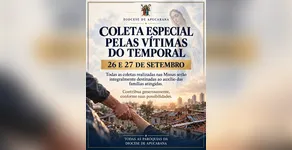 Solidariedade