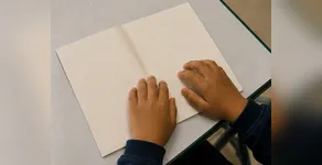 Inclusão