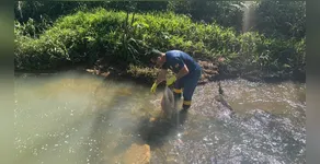 Denúncia