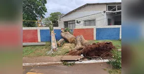 Temporal