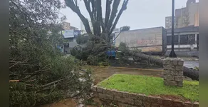 DURANTE O TEMPORAL