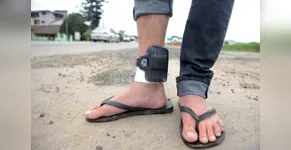 Arapongas
