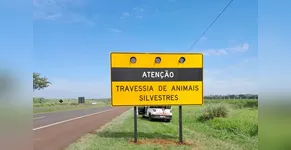 PARANÁ