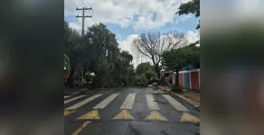 TEMPORAL EM APUCARANA