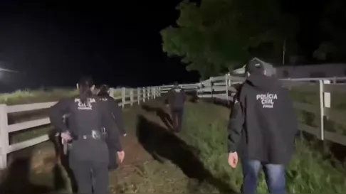 Operação da Polícia Civil mira grupo criminoso que furtou 2 mil cabeças de gado no Paraná