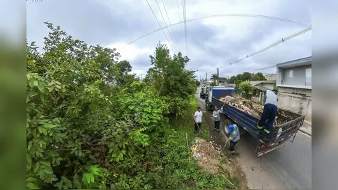 Dengue recua no Paraná, mas alerta segue ligado com a chegada do El Niño