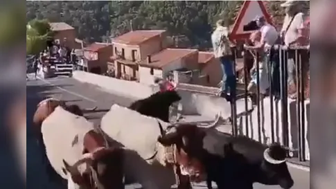 Mulher de 64 anos morre e homem fica ferido após ataque de touro em festival na Espanha