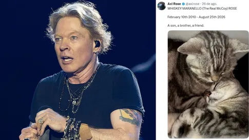 Axl Rose lamenta morte de seu gato Whiskey: 'um filho, um irmão, um amigo'