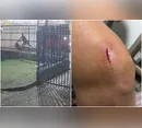 Motorista de aplicativo é investigado por agredir e arrastar passageira pelos cabelos no PR