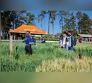 Colégio Agrícola de Apucarana abre inscrições para curso técnico em Agropecuária