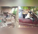Polícia Civil resgata 39 animais e encontra cão trancado em carro há três meses no Paraná