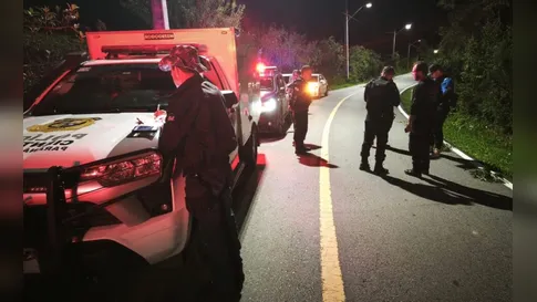 Casal vê cachorros às margens de rodovia e encontra corpo de jovem assassinado a tiros