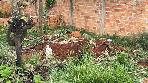 Polícia localiza corpo de idoso enterrado no quintal de residência em Ponta Grossa