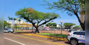  A mínima será de 20°C 