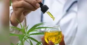  Cannabis medicinal é indicada para tratamento de várias doenças 