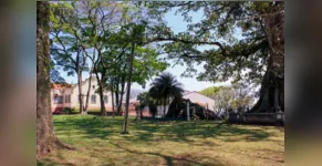  Caso foi registrado em uma residência na Colônia Esperança 