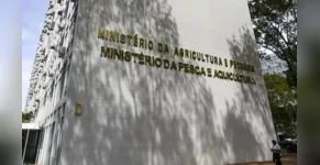  Ministério da Agricultura e Pecuária 