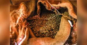  O Paraná passou a ser reconhecido pela qualidade do seu café 
