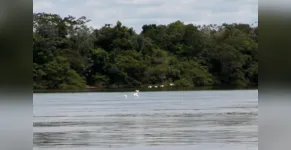  O Paraná possui 11 comitês de bacias hidrográficas 