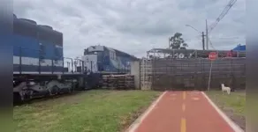  O caminhão estava carregado com cerca de 2,5 mil frangos 