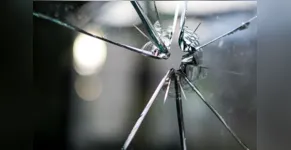  O criminoso estourou a vitrine da farmácia 