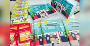  Os materiais começaram a ser encaminhados nesta terça-feira (28) 