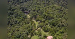  Paraná segue se destacando no controle ao desmatamento ilegal da Mata Atlântica 