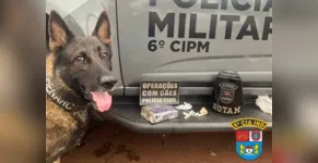  Polícia Militar e Civil apreendem drogas, armas e dinheiro em Ivaiporã 