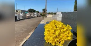  Todas as informações são divulgadas de acordo com o site oficial da Aserfa. 