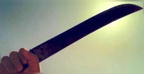  Morador reagiu com facão e fez ladrão fugir 