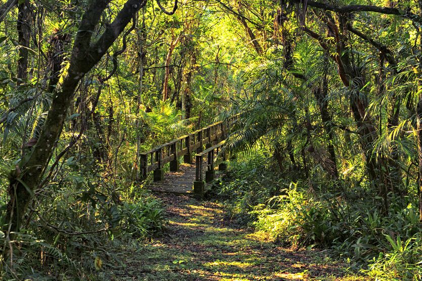  Parque Estadual Rio da Onça 