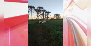  Picape foi parar no meio de uma plantação de soja 