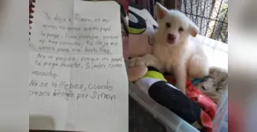  A criança prometeu buscar o cãozinho quando completar 18 anos 