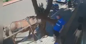  Câmera de segurança flagrou mordida de burro em vereador 