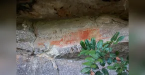  Cervos, araucárias e humanos: a pré-história do Paraná está nas paredes de Piraí do Sul 