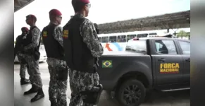  Força Nacional continuará apoiando Ibama na Amazônia 