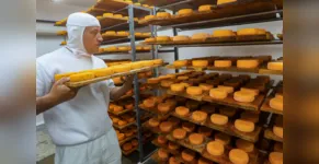  Witmarsum, Indicação Geografica dos queijos 