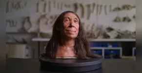  Cientistas revelam rosto de mulher neandertal que viveu há 75 mil anos 