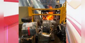  PF incinera mais de 2,5 toneladas de maconha em Maringá 
