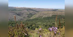 PR tem 55 mil hectares em Reservas Particulares de Patrimônio Natural 