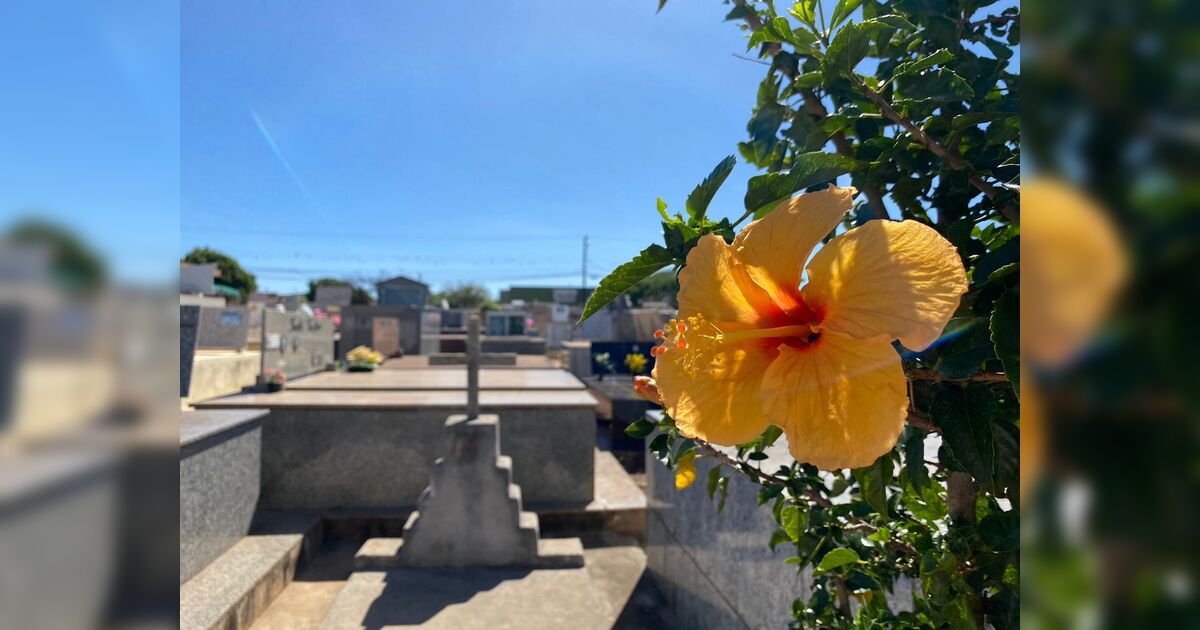 Confira os falecimentos desta terça-feira (31) em Apucarana e região