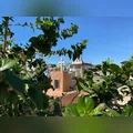 Peças de bronze são furtadas de túmulos no cemitério de Jardim Alegre