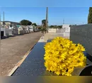Confira os falecimentos desta quinta-feira (27) em Apucarana