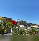 Confira os falecimentos desta sexta-feira (07) em Apucarana