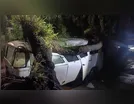 Chuva forte derruba árvores e causa danos em Ivaiporã