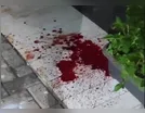 Vítima de assassinato pediu socorro antes de morrer, diz testemunha