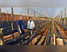 AGRICULTURA FAMILIAR