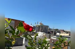 A lista de sepultamento é divulgada diariamente pela Aserfa